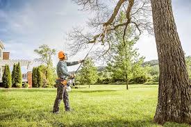 Best Leaf Removal  in St Paul, MN