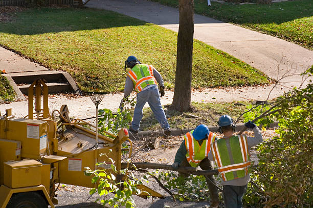 Best Utility Line Clearance  in St Paul, MN